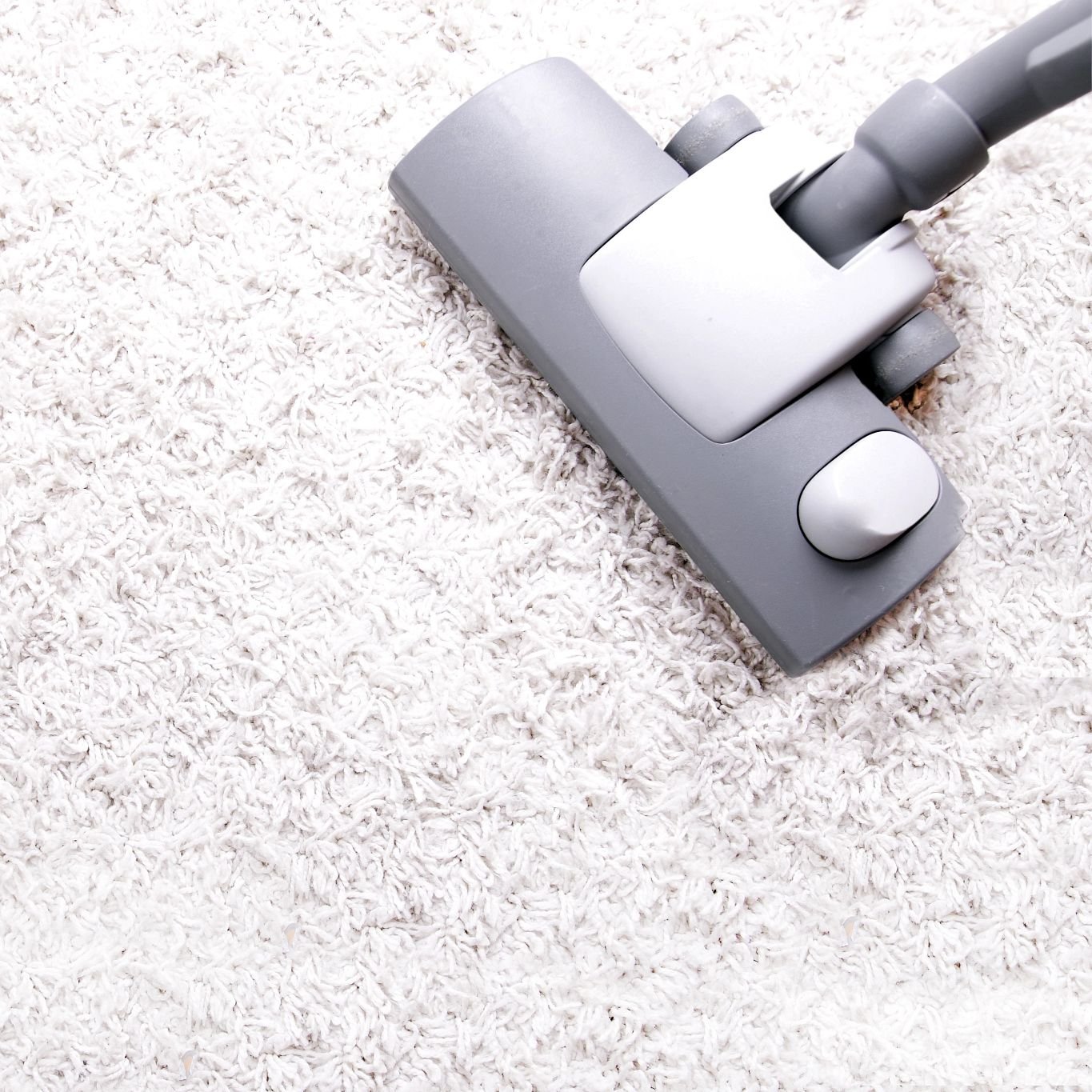 vacuum on carpet - House of Carpets Inc. in North Chesterfield