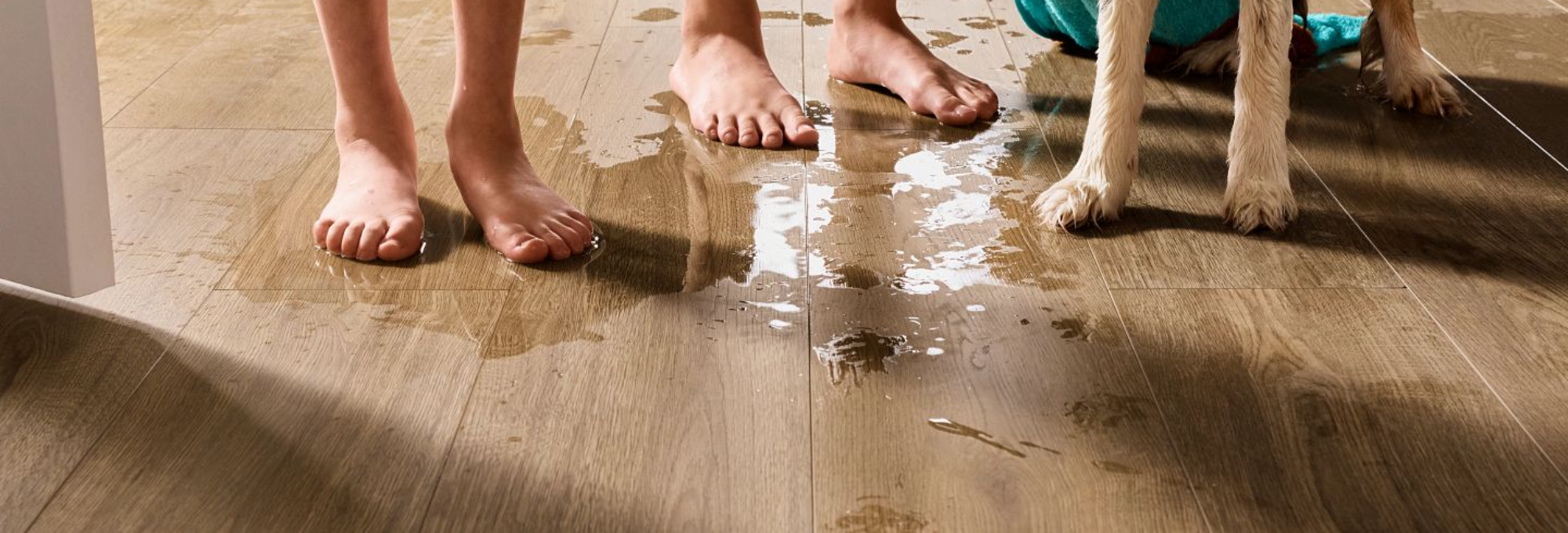 Luxury-Vinyl-Tile-Wet-With-Kids-And-Dog